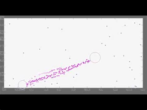 Ant simulation in Matlab - YouTube