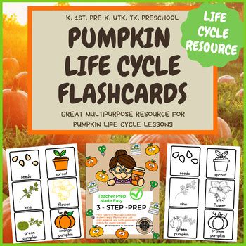 Pumpkin Life Cycle Flashcards for UTK, Preschool, Pre-K, TK ...