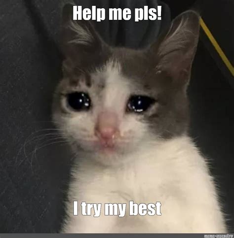 Meme: "Help me pls! I try my best" - All Templates - Meme-arsenal.com