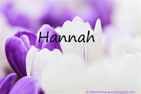 Hannah Name Wallpapers Hannah ~ Name Wallpaper Urdu Name Meaning Name Images Logo Signature