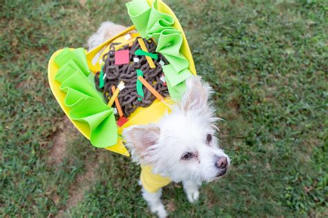 Taco Dog Costume-8 - Beacon Adhesives