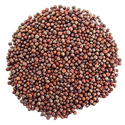 Broccoli Seed For Sprouts Or Microgreens (8 Oz) | 800wheatgrass.com