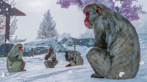 Planet Zoo: Arctic Pack : Buy PC Key for Steam | Voidu
