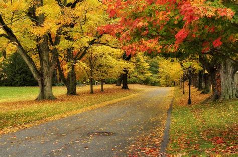 Connecticut Fall Foliage Driving Tours