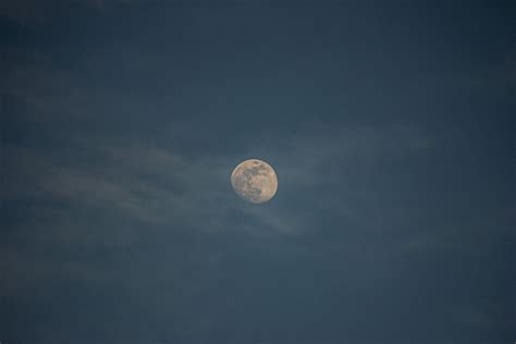 Full Moon in the Sky · Free Stock Photo