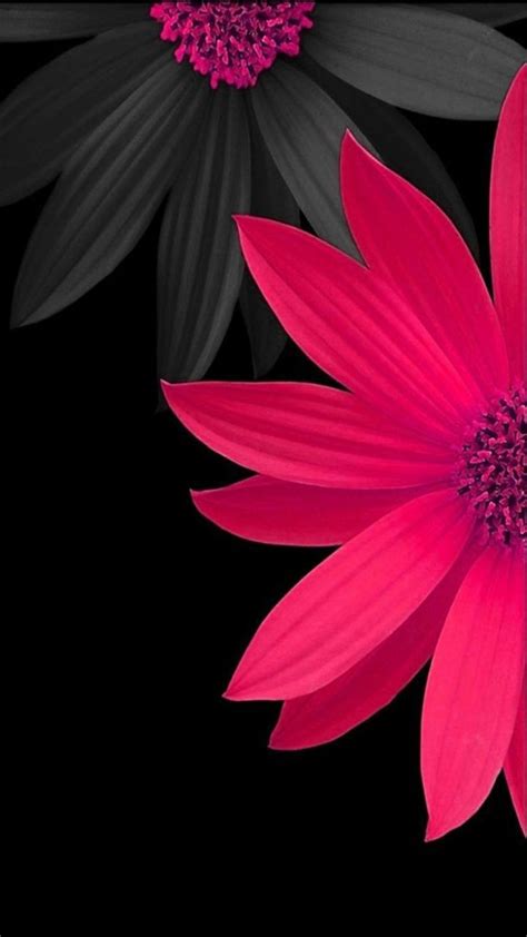 Aesthetic Black Flower Wallpapers - Wallpaper Cave