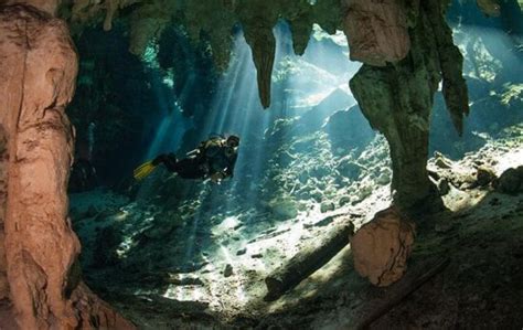 The 17 Best Dive Sites in the World