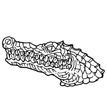 Alligator Head Cartoon PNG, Vector, PSD, and Clipart With Transparent Background for Free ...