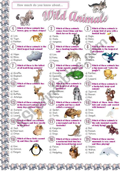 Wild Animals - Quiz - ESL worksheet by Jayce