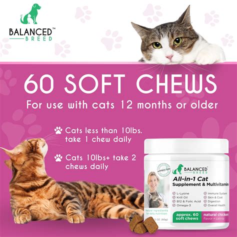 Balanced Breed L-Lysine Cats Immune Support Skin Coat Sneezing Runny ...