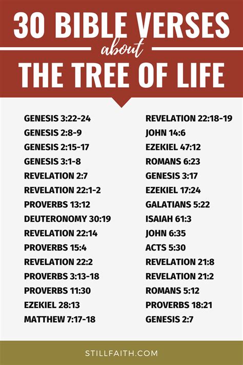 90 Bible Verses about the Tree of Life (KJV) | StillFaith.com