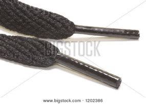 Photo Gallery - Aglets