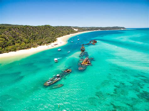 TANGALOOMA Wrecks Snorkeling -Diving, Australia | Activities in Australia