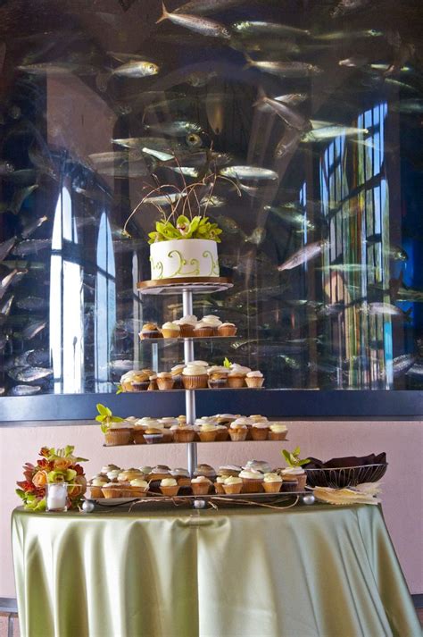 Birch Aquarium at Scripps | Birch aquarium, Aquarium wedding, Aquarium