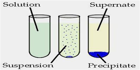 Precipitation - Assignment Point