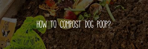 Compost Dog Poop: The Only Guide You Will Use – Give A Shit - Earth ...