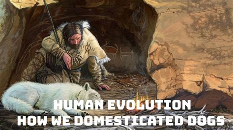 Human Evolution: How We Domesticated Dogs