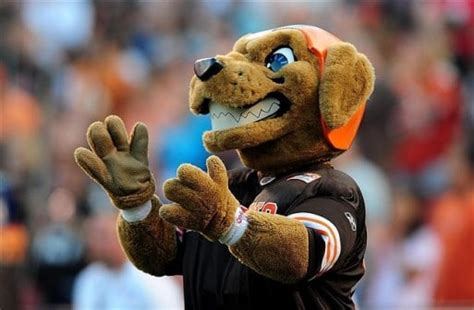 Dog Day (Sunday) Afternoon: Cleveland Browns to introduce live canine ...