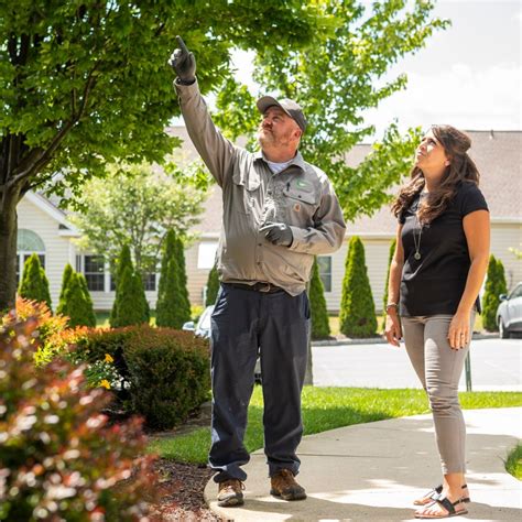 Arborist Jobs: Why Climber & Groundsman Jobs Can Be Great Career Options