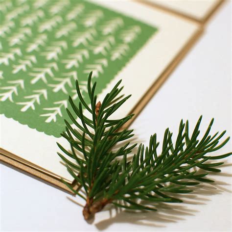 Eco Friendly Christmas Card Pack By Alexandra Snowdon | notonthehighstreet.com