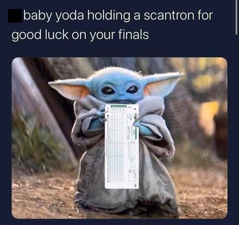 Finals week : r/wholesomememes