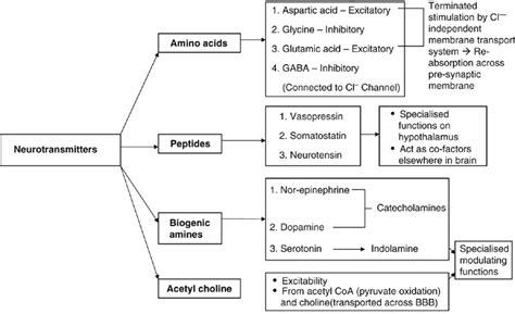 Neurotransmitters And Their Functions Chart