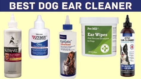 Best Dog Ear Cleaner 🐕 ||Vet Recommended Dog Ear Cleaner - YouTube