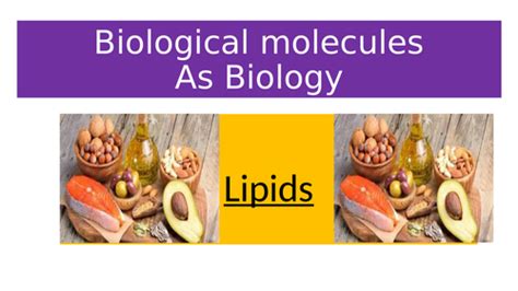 Biological Molecules: LIPIDS | Teaching Resources