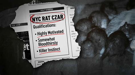 NYC Jobs: Rat Czar Position to Pay Six Figures – NBC New York