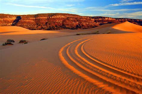 4-wheeler tracks at Coral Pink Sand Dunes State Park in Utah - Utah ...