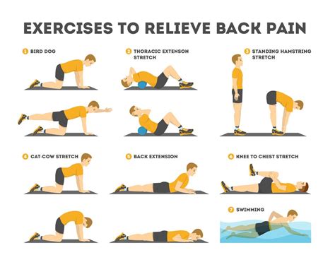 Printable Lower Back Pain Exercises