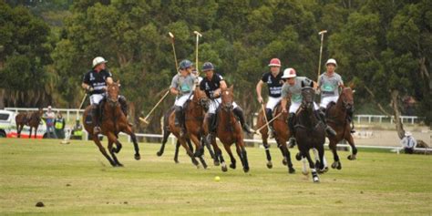 Fun Facts About Horse Polo | HuffPost News