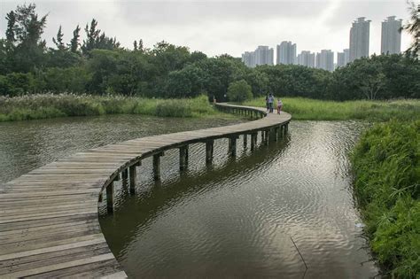 A Stroll Around Hong Kong Wetland Park, Hong Kong, China