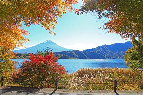 Fuji Five Lakes (Yamanashi Prefecture) - All You Need to Know BEFORE You Go - Updated 2019 ...