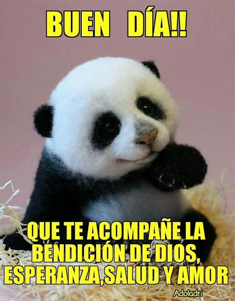 Pin by Norma on Buen día | Good morning, Panda bear, Bear