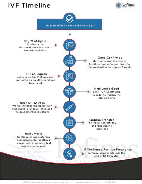 [Infographic] An In Vitro Fertilization Timeline