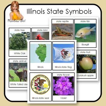 Illinois State Symbols | State symbols, Illinois state, Illinois