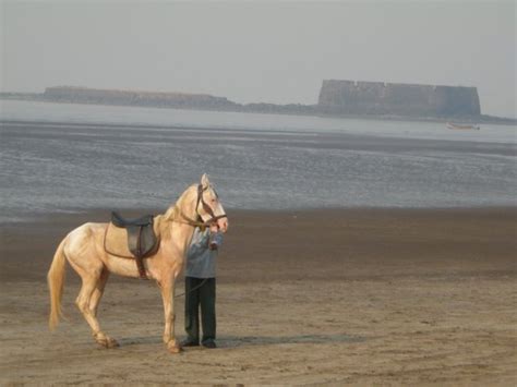 Alibag Beach | IndiaUnveiled