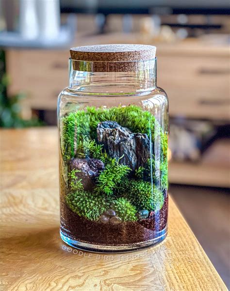 Woodland Moss Terrarium in Large Glass Pillar