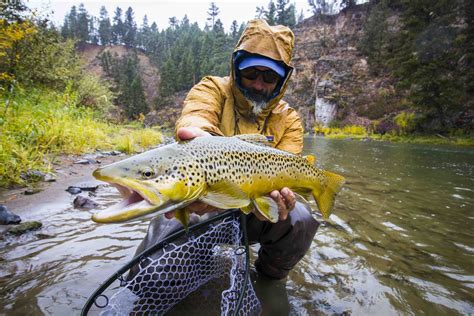 18 Places to Fly Fish in Montana in 2018 | Grizzly Hackle Fly Shop