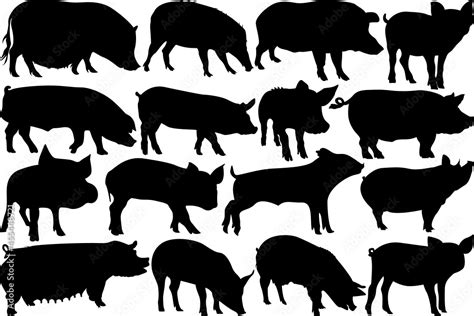 Pig SVG Cut Files | Pig Silhouette | Pig Svg | Hog Svg | Pig Head Svg ...