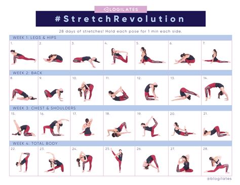 Printable Stretching Exercises