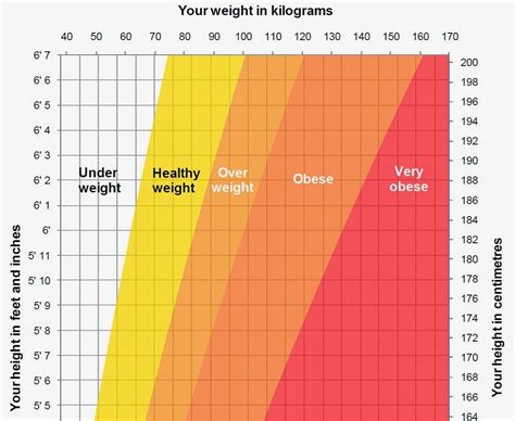 Weight chart bmi calculator women's - assetaylor