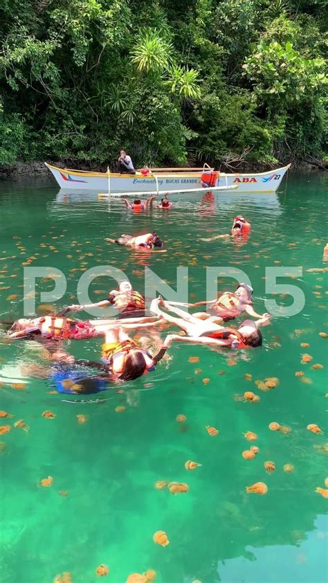 Swirling Swim With Siargao Jellyfish, Sohoton Cove, Socorro, Surigao ...