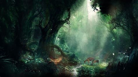 The Forbidden Forest Harry Potter Wallpapers - Wallpaper Cave