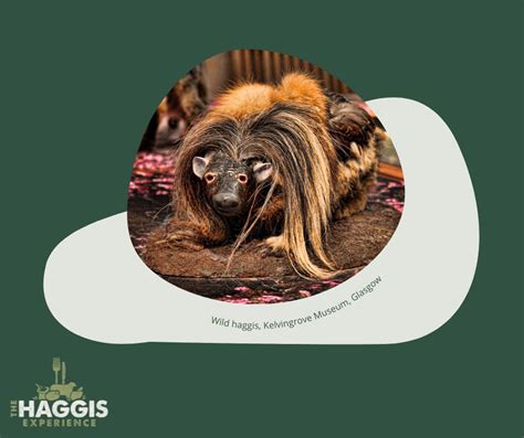 10 things you need to know about haggis | The Haggis Experience ...