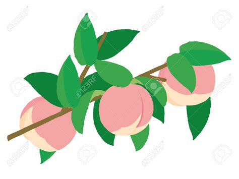 clipart peach tree 20 free Cliparts | Download images on Clipground 2024