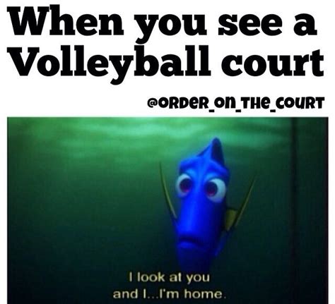 Funny Volleyball Quotes For Setters - ShortQuotes.cc