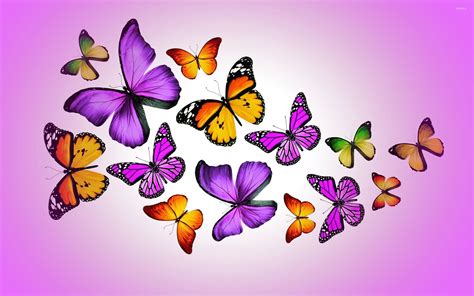 Orange and purple butterflies wallpaper - Artistic wallpapers - #52859