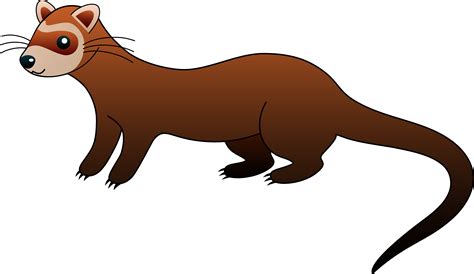 Black-footed ferret Hamster Clip art - Green Ferret Cliparts png download - 8763*5066 - Free ...